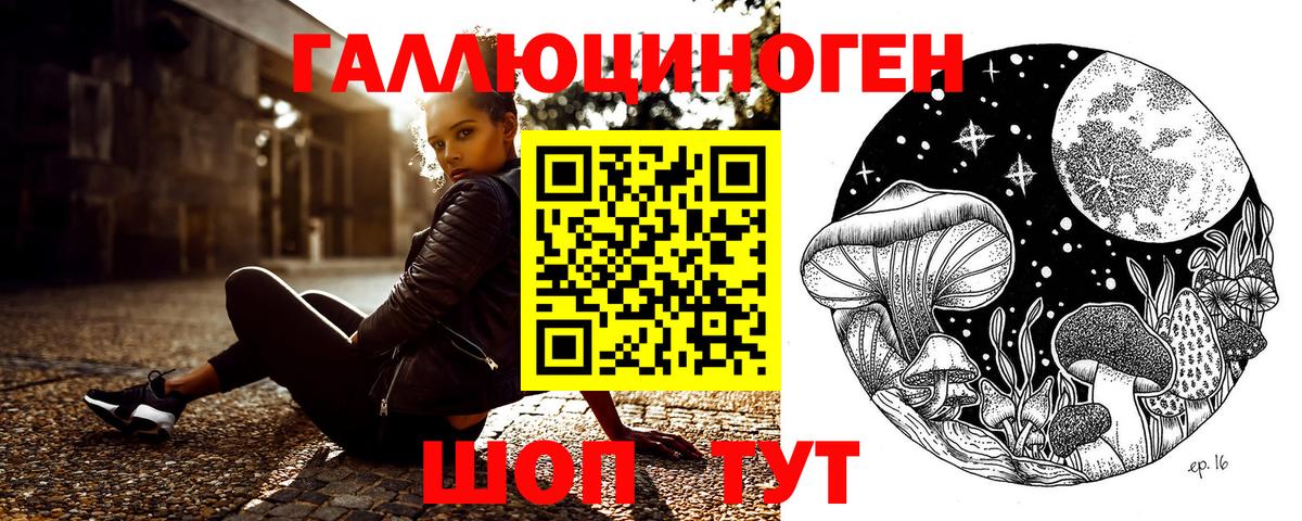 закладки  Вход с VPN  Ростов Великий  Псилоцибиновые грибы Psilocybine cubensis 