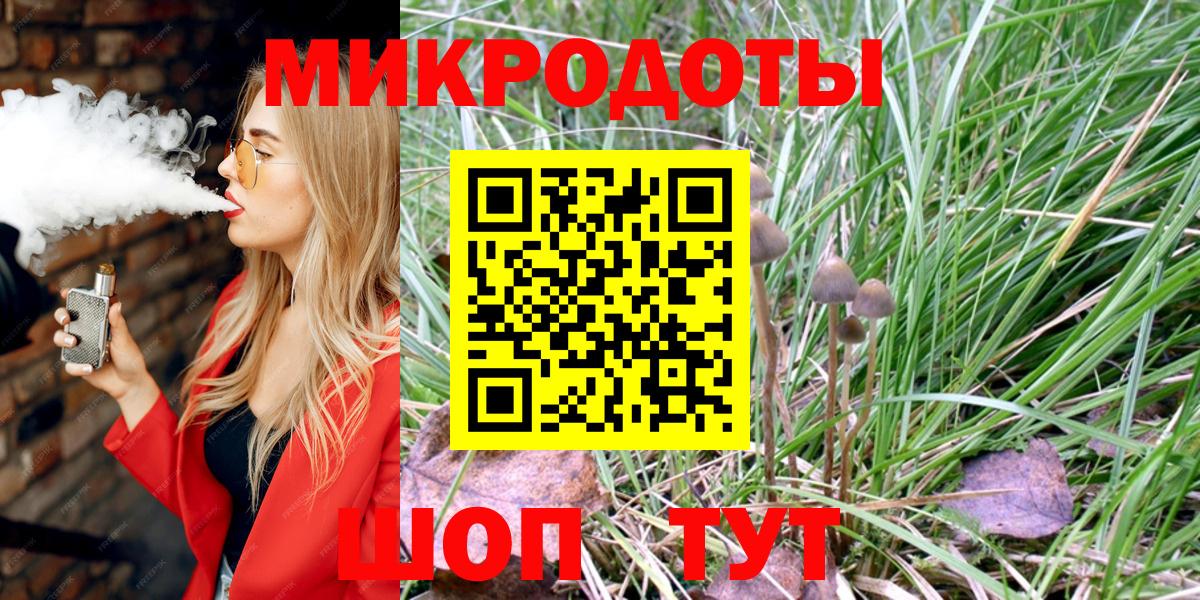 Галлюциногенные грибы Psilocybine cubensis Ростов Великий