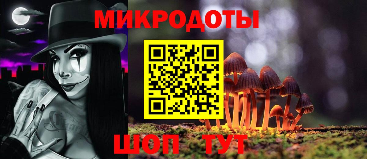 Альфа ПВП Ростов Великий